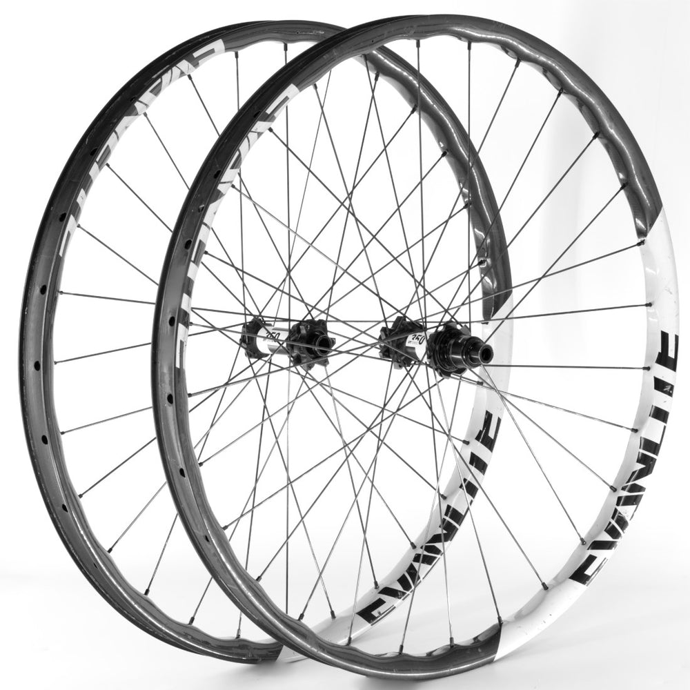 Evanlite MTB Evolution DT 350